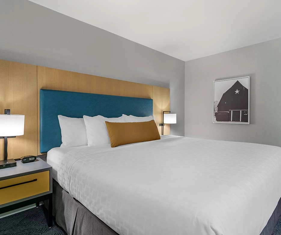 EXECUTIVE ONE BEDROOM SUITE