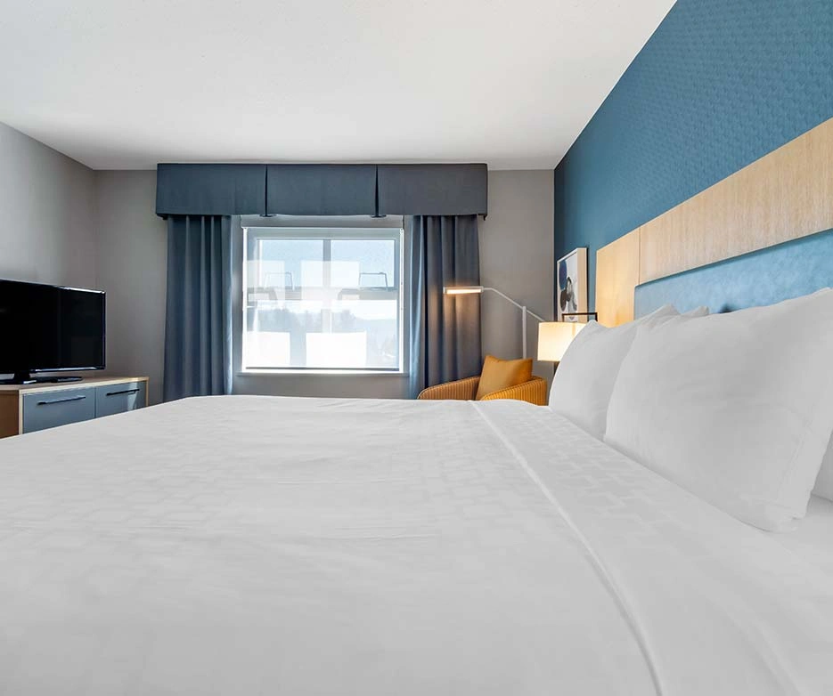 JUNIOR EXECUTIVE SUITE